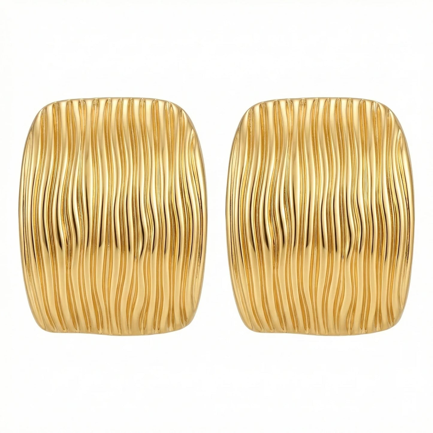 aretes zebra